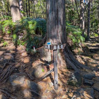 八畳岩に、左へ行く道