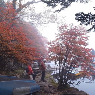 ボート乗場の紅葉🍁
