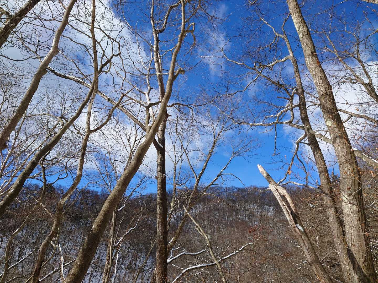 太陽が雲から出ると、こんな感じ🙆