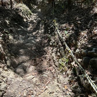 急登の下り道。地面がカラカラに乾燥していて滑って怖い😨
ロープ使って慎重に行きました