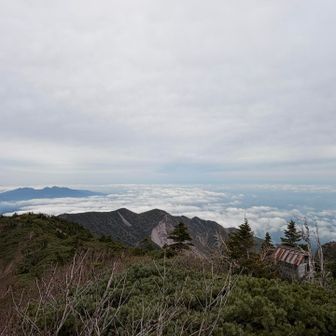 東側展望