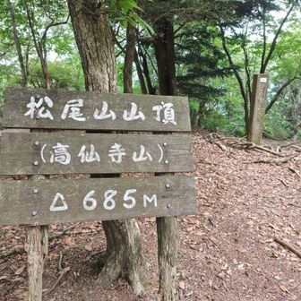 ３つ目
ここは山頂が広かったです
