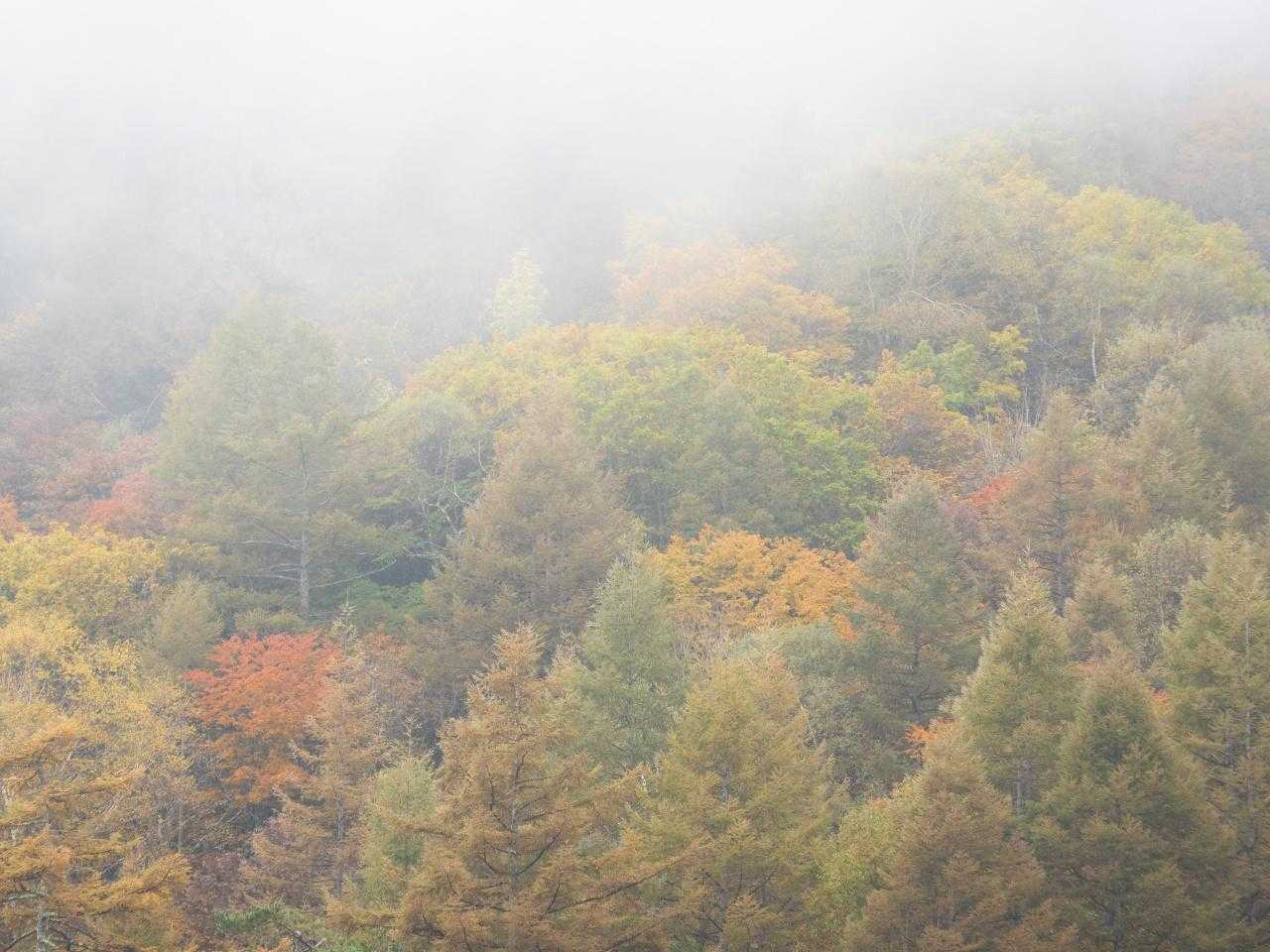 山肌