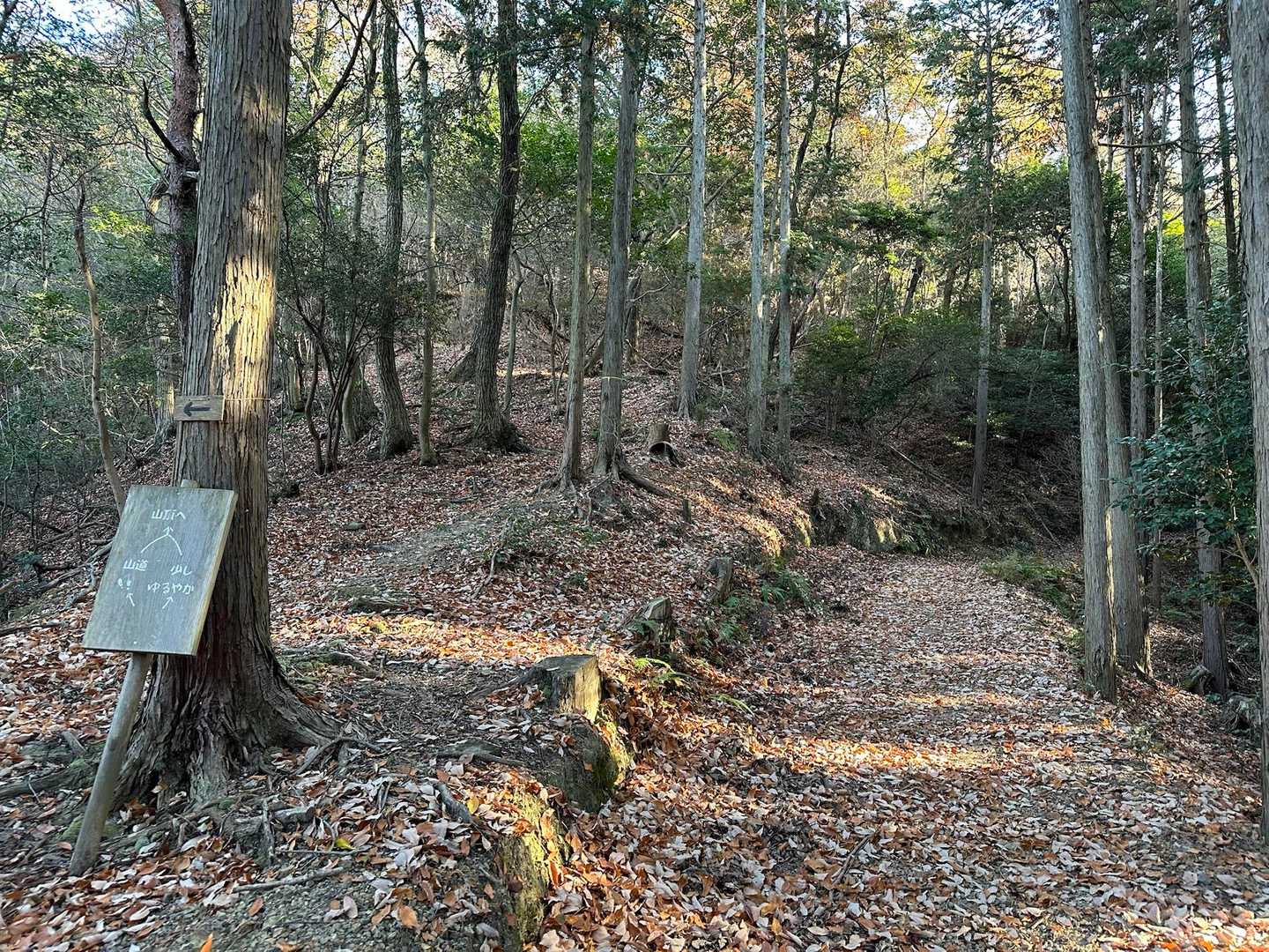 道迷いも少なくでしょう