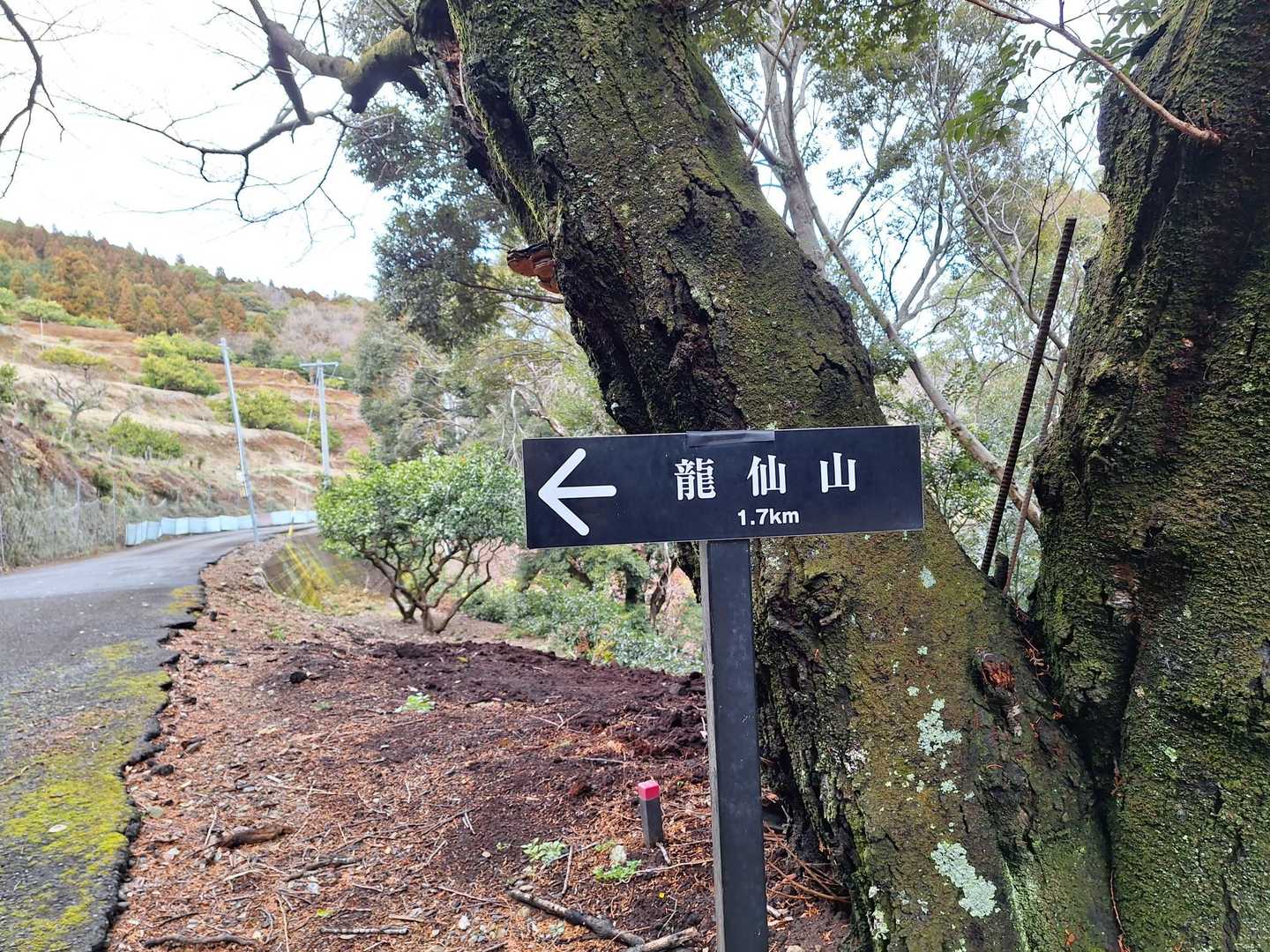あっとゆう間に無事下山😊
