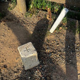 そして！なんと！さんかくてん！！😳