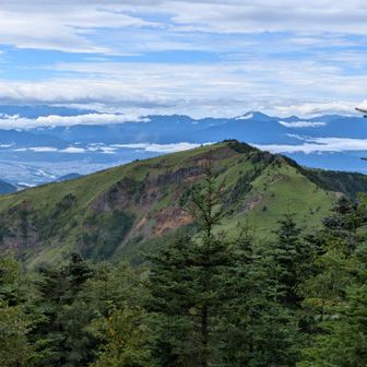 振り返ると、先程通った根子岳。
