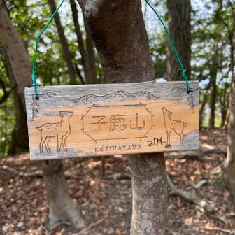 子鹿山⛰️も行っとこ