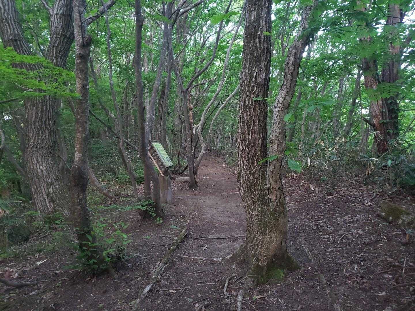石動山 周回コースの写真