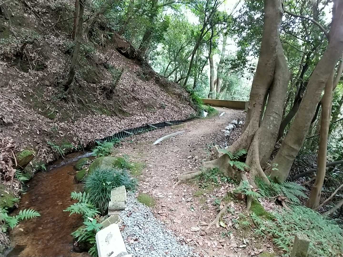 水路沿いに平坦な道が続く。