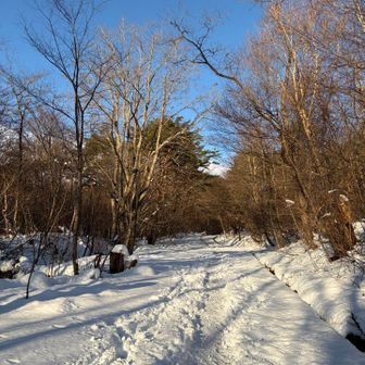 先週、下界でも雪が積もったので
泉ヶ岳の雪の様子を見にきた