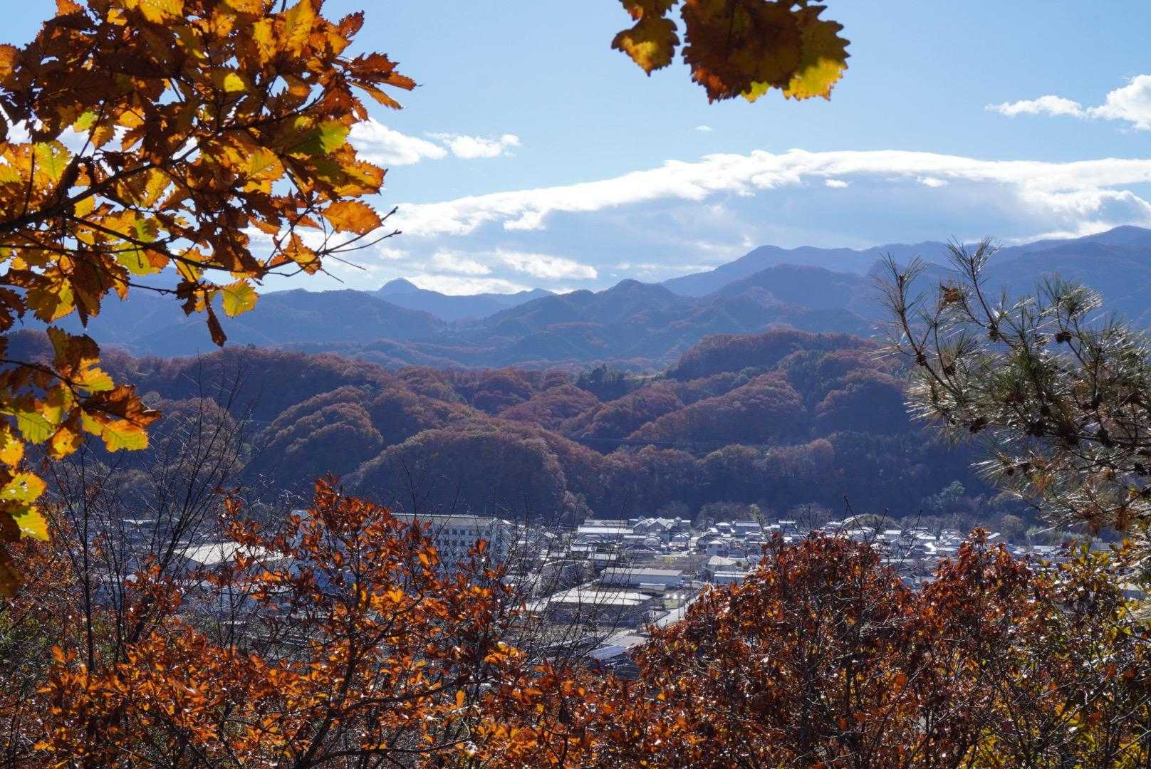 神成山ハイキングコース入口-神成山 往復コースの写真