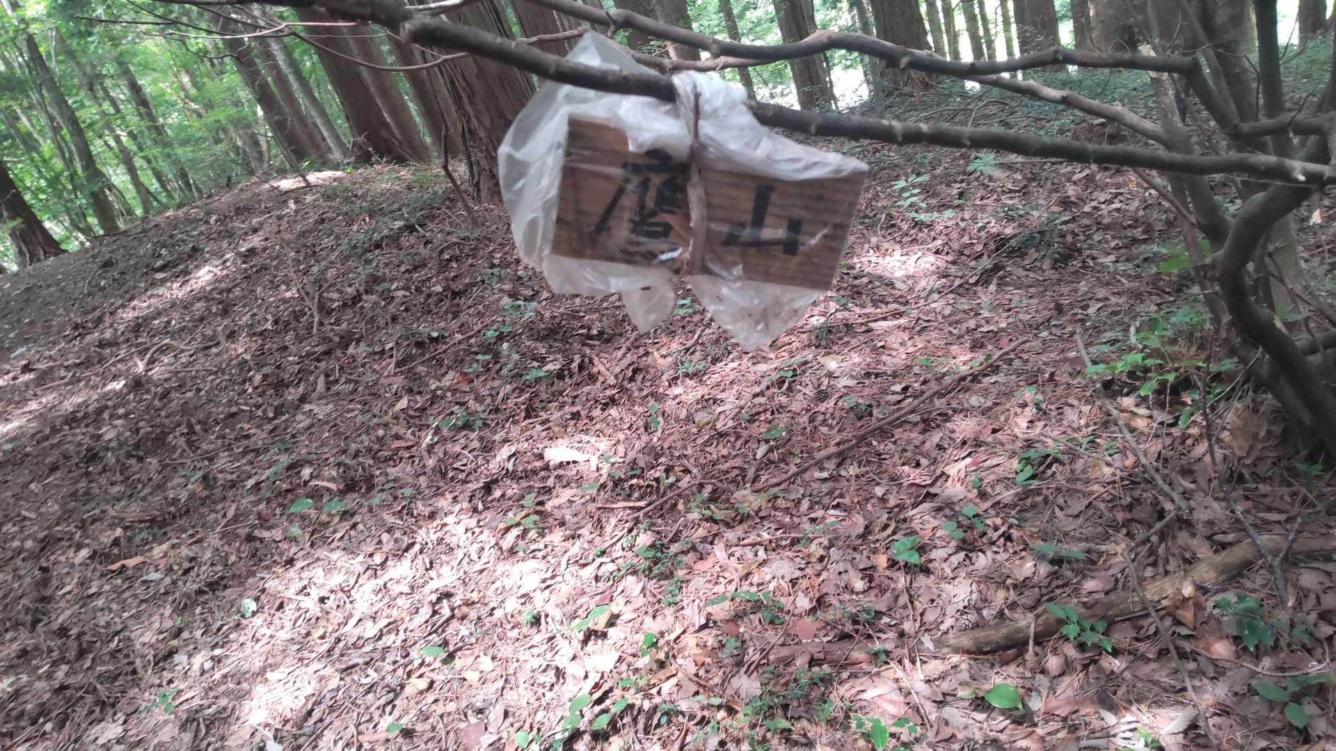 鷹林山山頂