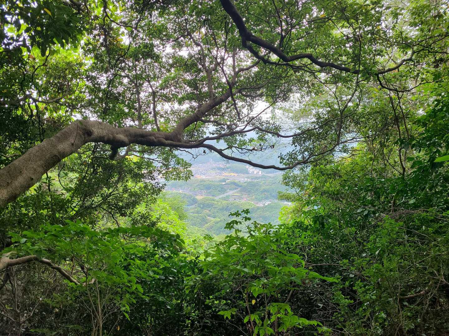 嶽山 周回コースの写真