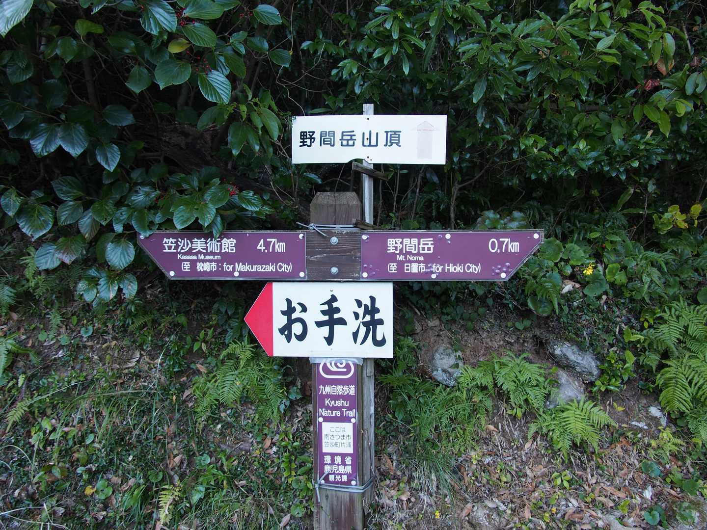 700mで山頂か・・・