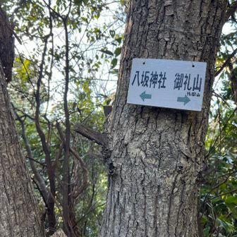 案内板がちょいちょいあって助かります👍