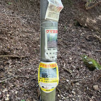 熊が出たらしくビビった❗️
