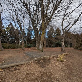 もみじ台の茶屋が跡形もなく無くなってました😭