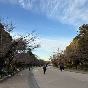 お花見🌸の季節は大混雑💦