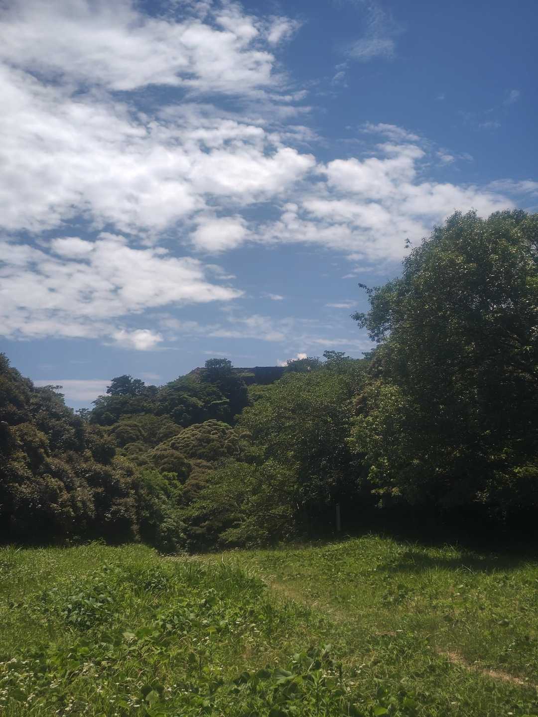 湊山 往復コースの写真