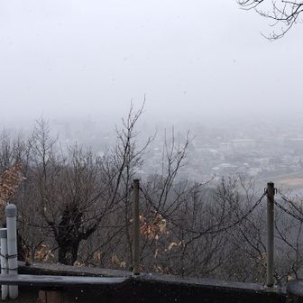 山形市内は雪が舞っています。