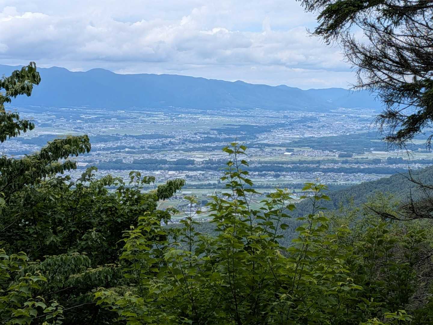 高烏谷のマツハダ-つが平-高烏谷山-高烏谷神社 奥社 周回コースの写真