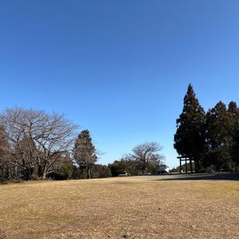 いつものとこへ😙