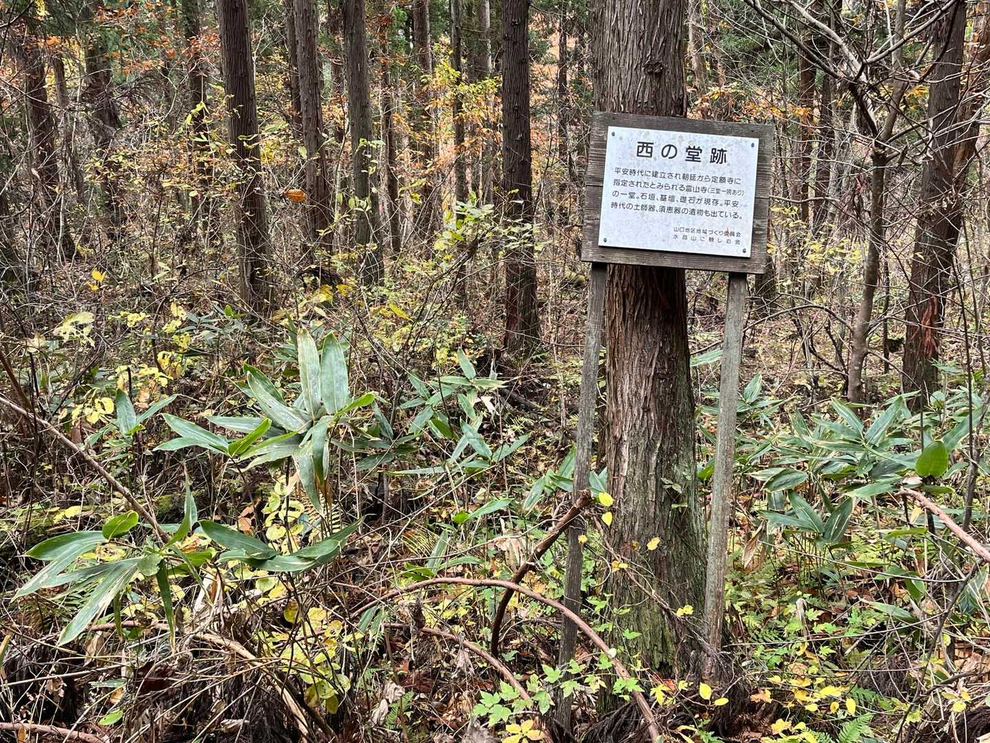 定額寺の指定地論争にも関係しています🤔