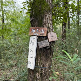 飯能百山というのがあるんですね。市内だけで百個以上ピークがある事になりますね。凄い。