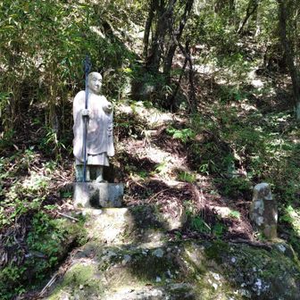 数年前、この像近くでイグアナみたいな大きいトカゲを見かけたんだけど、誰か見た人います？
その後、何度か訪れてるけど遭遇することは二度とない…
斜面をノッシノッシとゆっくり登ってたんですよ！マジな話です。