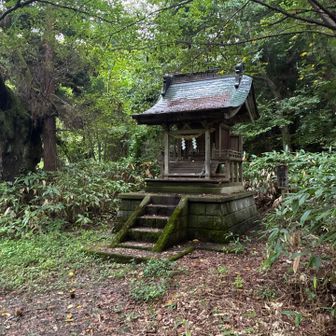 ここから先は薮ってたし
ピーク取れたので帰ります🐸