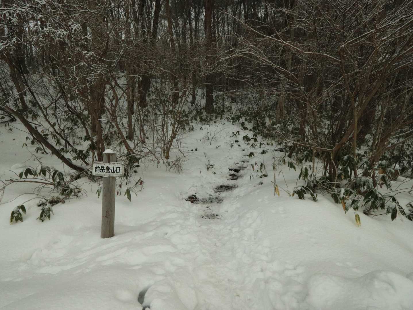 登山口を確認し、トレースがあることを確認し、安心して登ります。