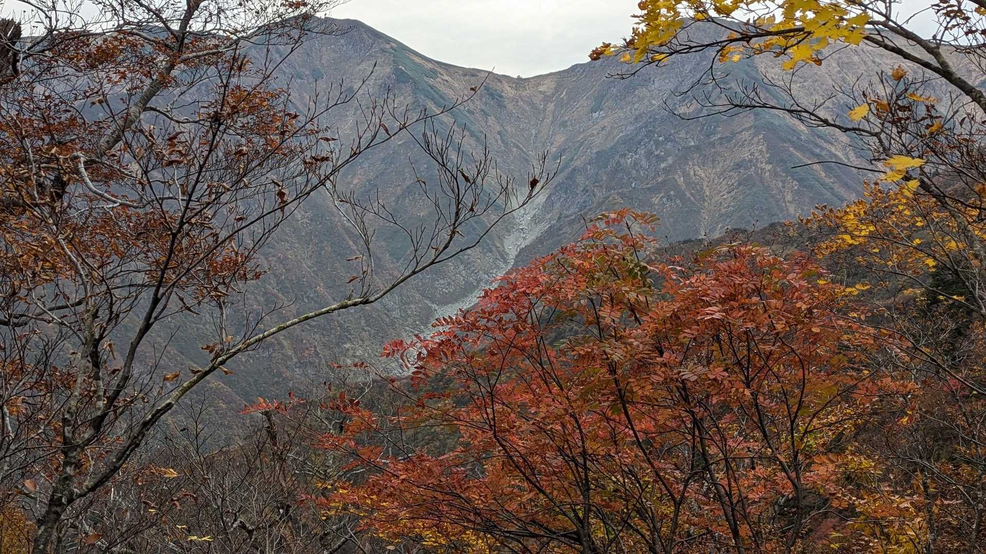 紅葉の向こうに石転び沢