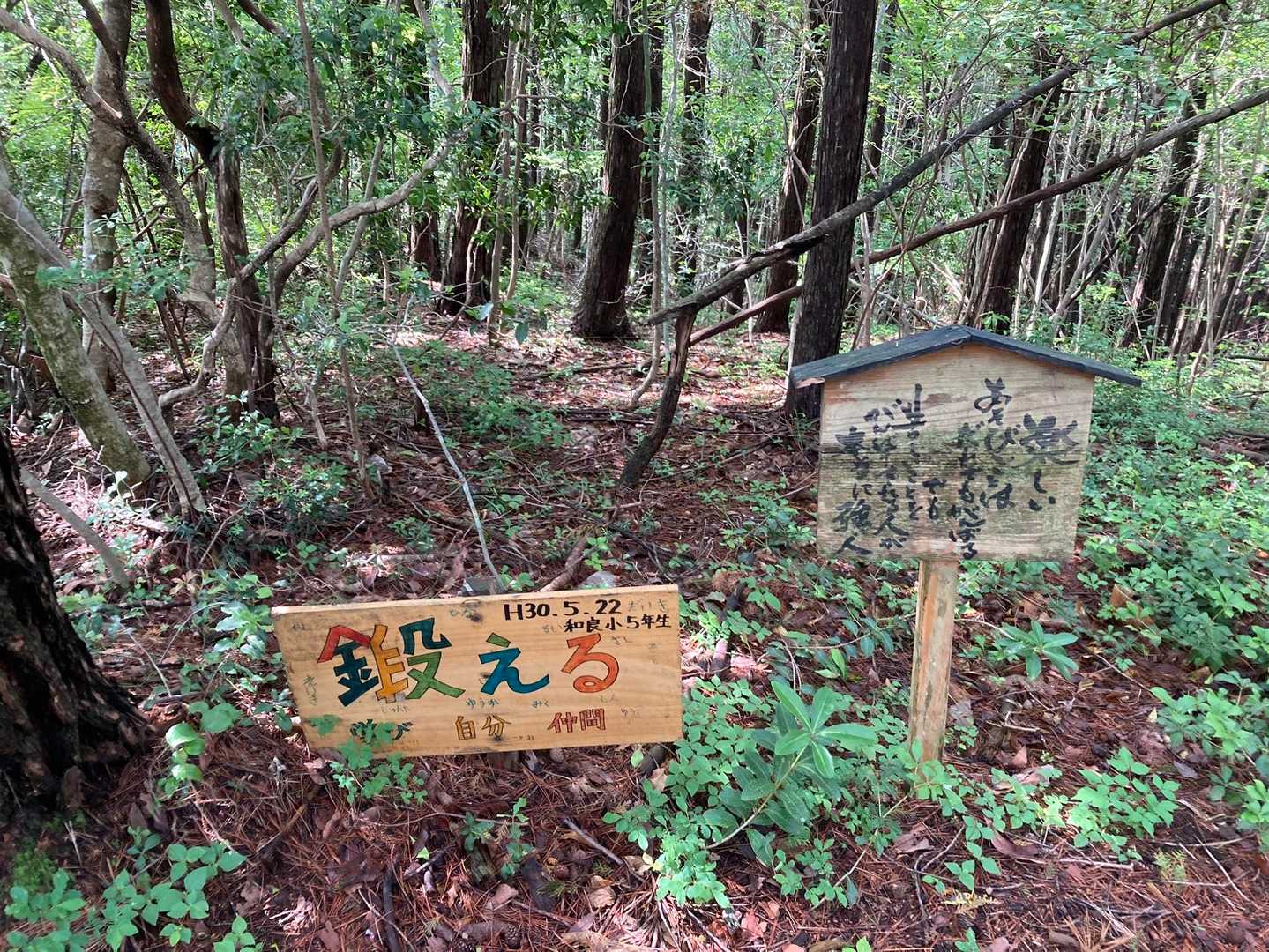 和良岳 往復コースの写真