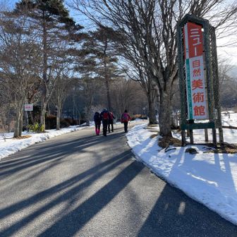 🅿️からスタート