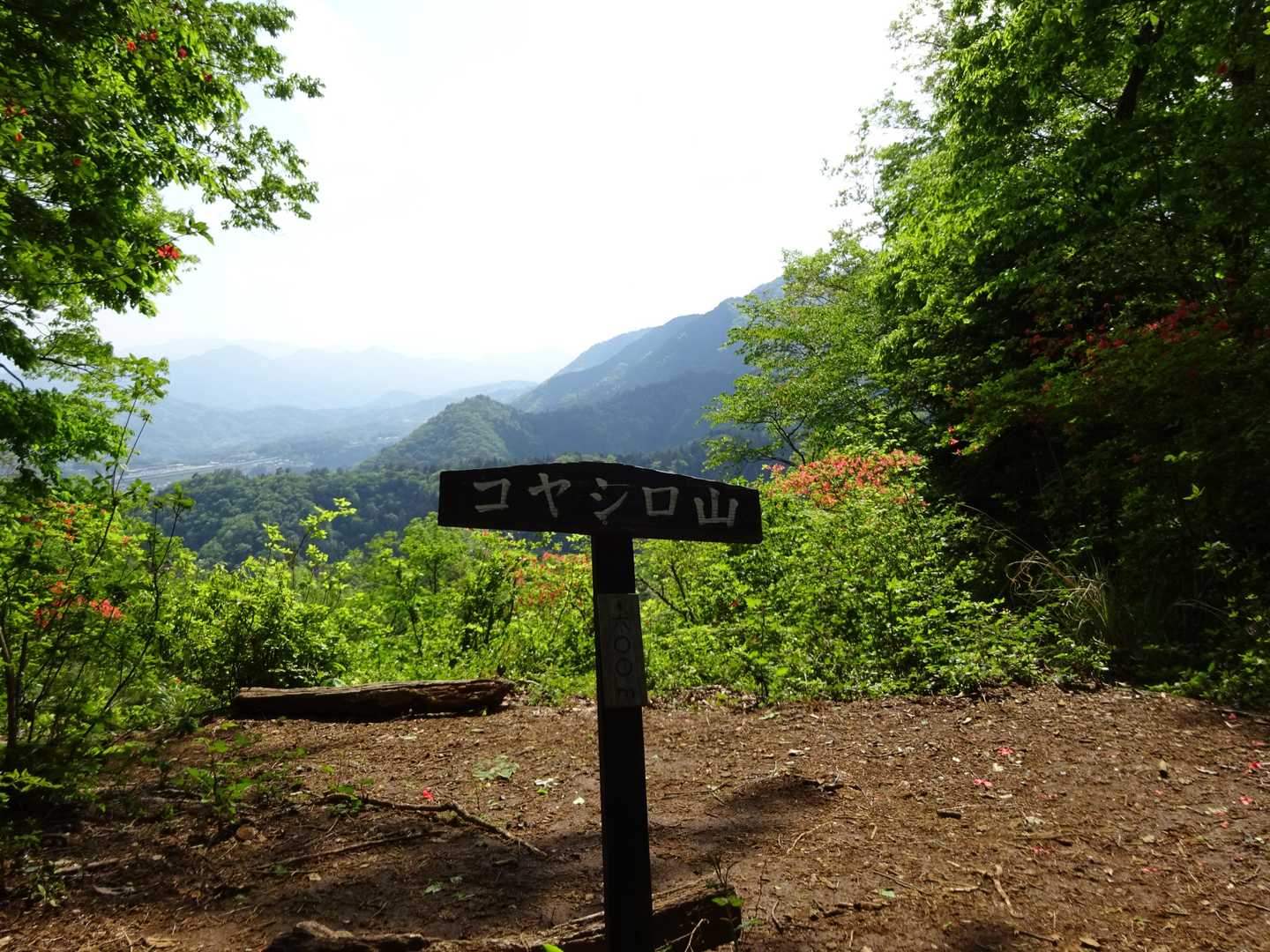 コヤシロ山到着