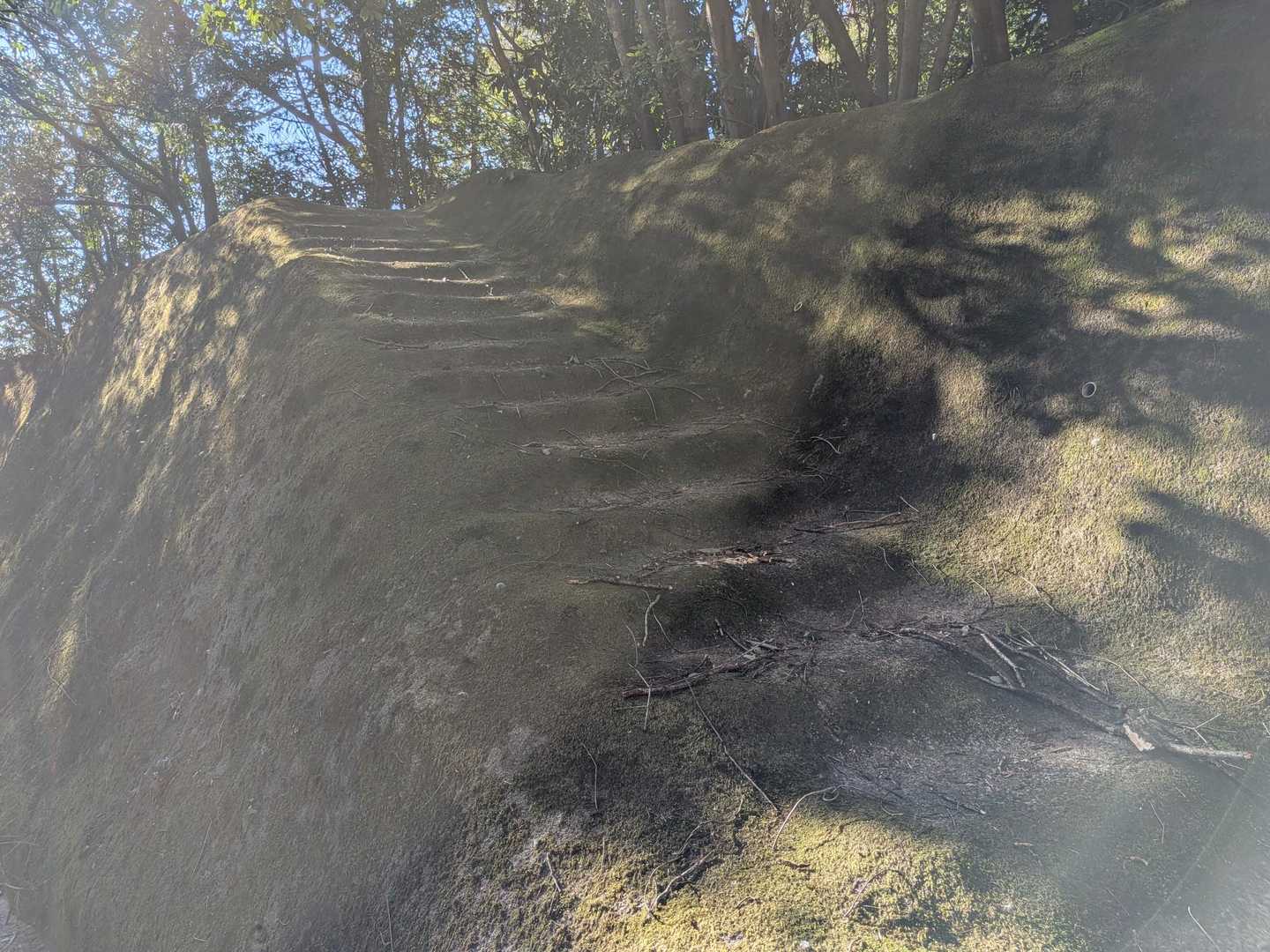この階段は登山者の為に作られたのか🤔
