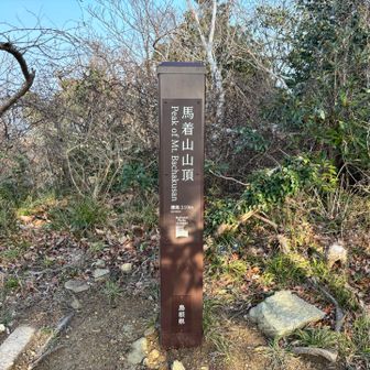 山頂着いたー！