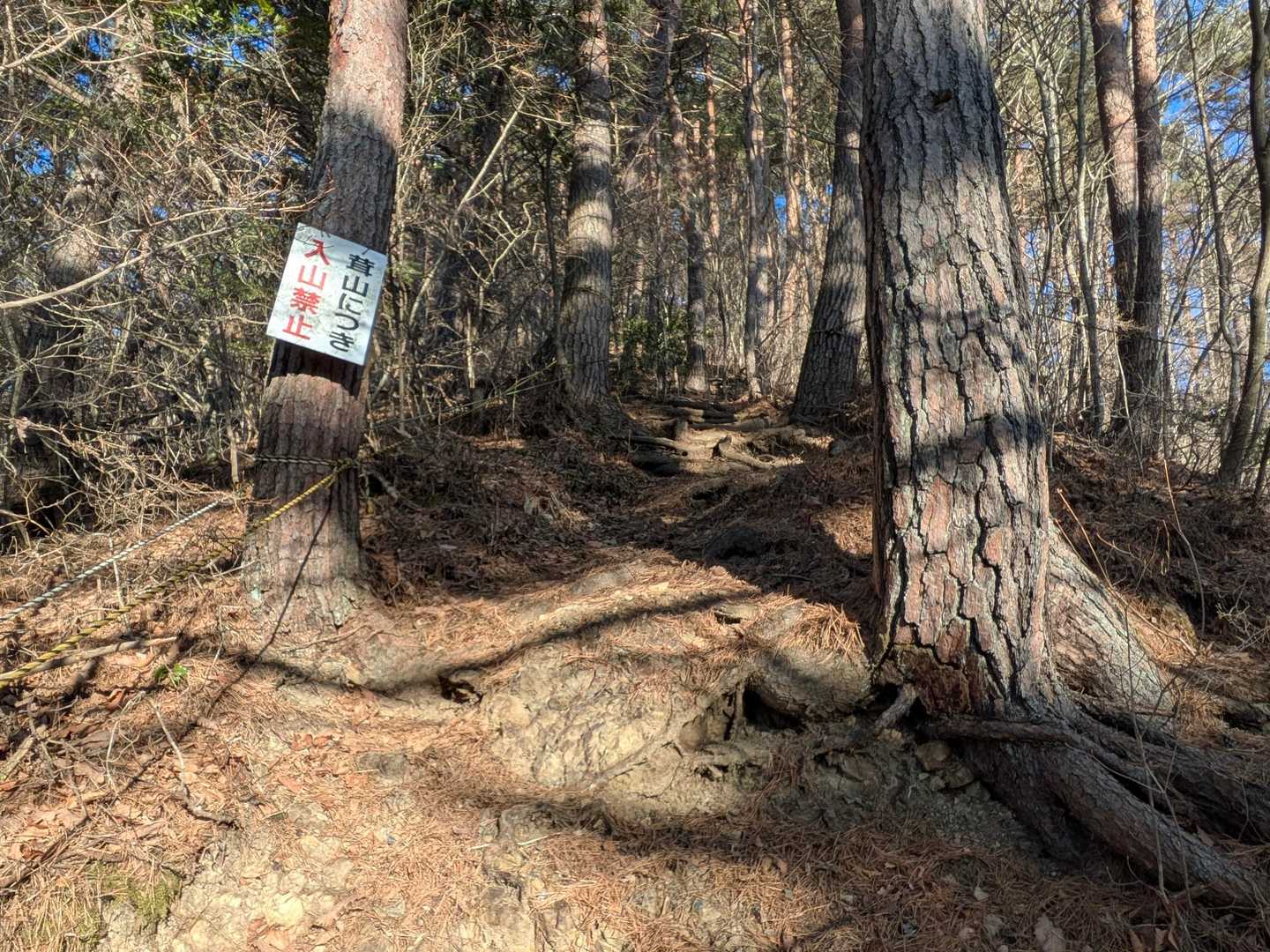 この山は松茸の山らしく、立ち入り禁止の看板がたくさんあるよ。
ずっとロープも張ってある！
めっちゃあるんだろうな🍄‍🟫😂