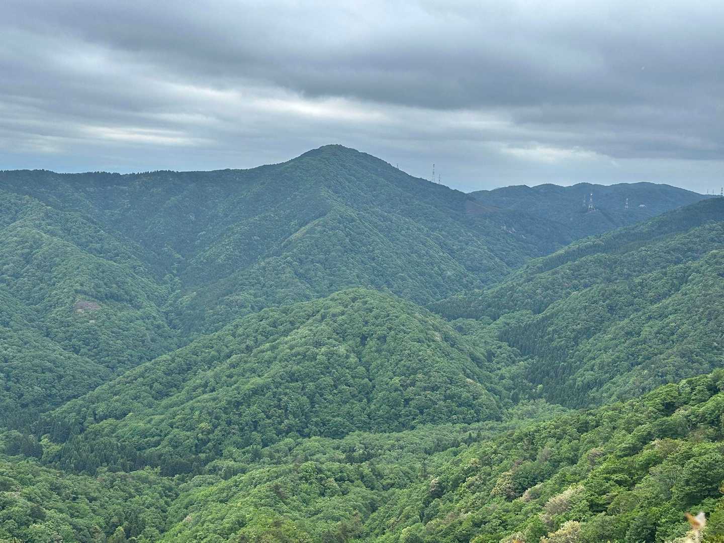 駄口登山口-奥野山-岩籠山-インディアン平原 往復コースの写真
