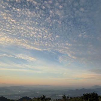 一気に鱗雲な空に。