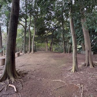 誰もいない静かな裏山を登ると『高幡山』登頂🙌
標識なし🪧
眺めは……