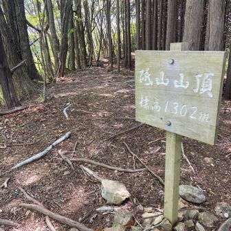 本当は鷹の巣山に行く予定でしたが、時間の関係上諦めました🤦