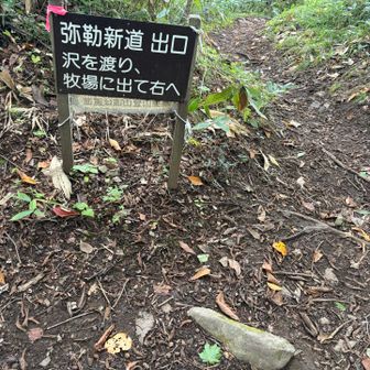 あっという間に出口に到着👍