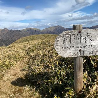 なんとか綱附森へ到着。
良い雰囲気なのにこの笹藪は勿体無い。