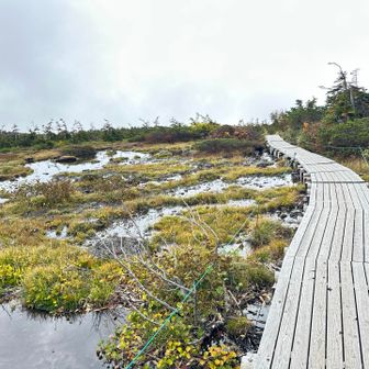 天狗原湿地を通過
