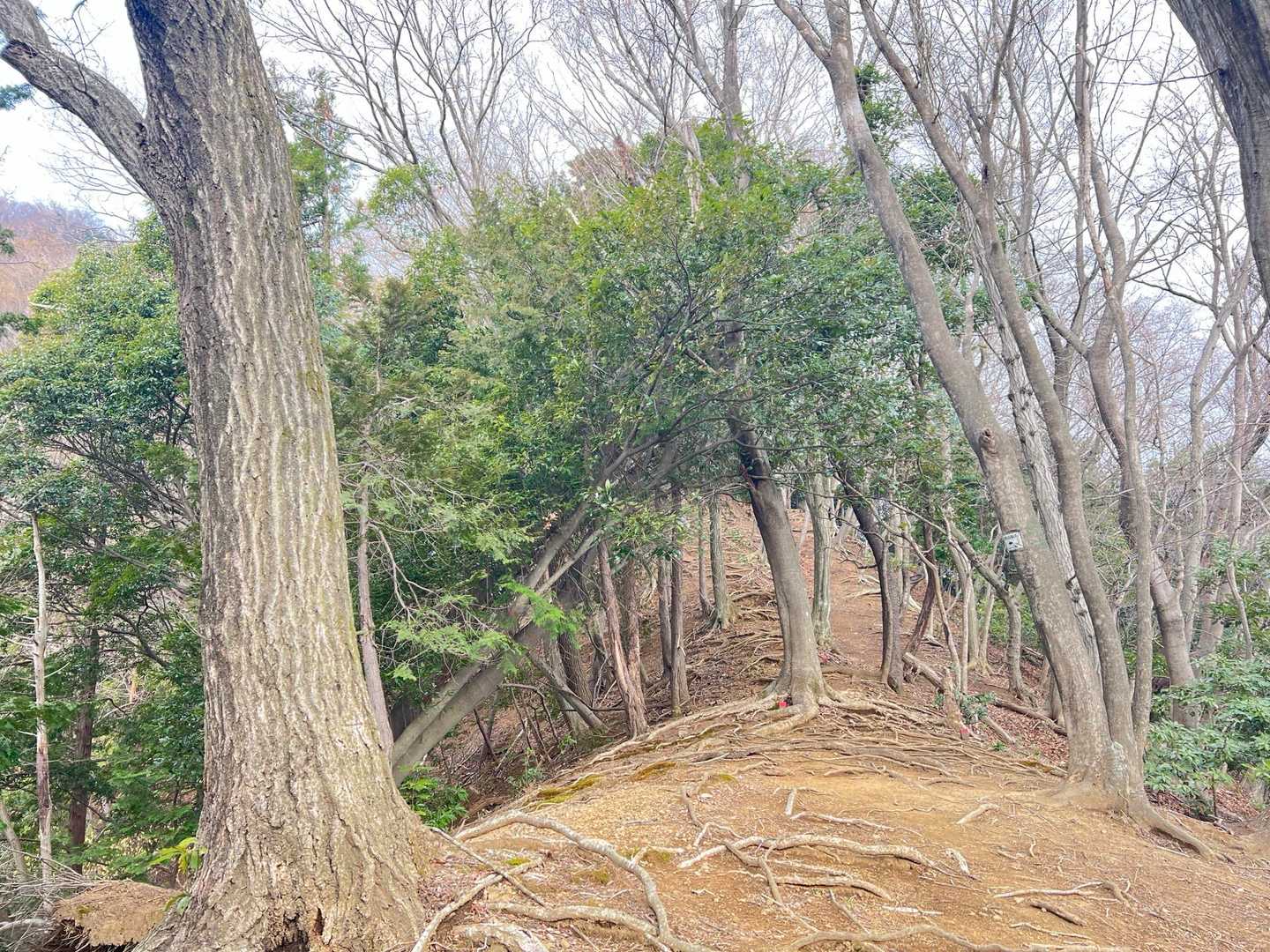 少しだけ緩やかなところがありました
