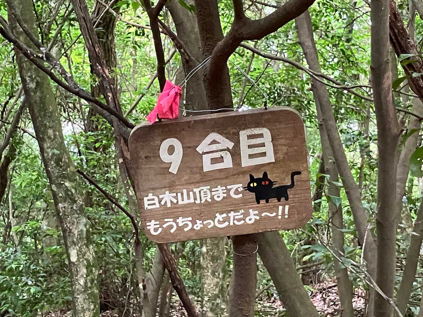 黒猫ちゃん
おはようニャー🐈‍⬛