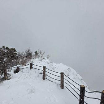 野辺地町も真っ白