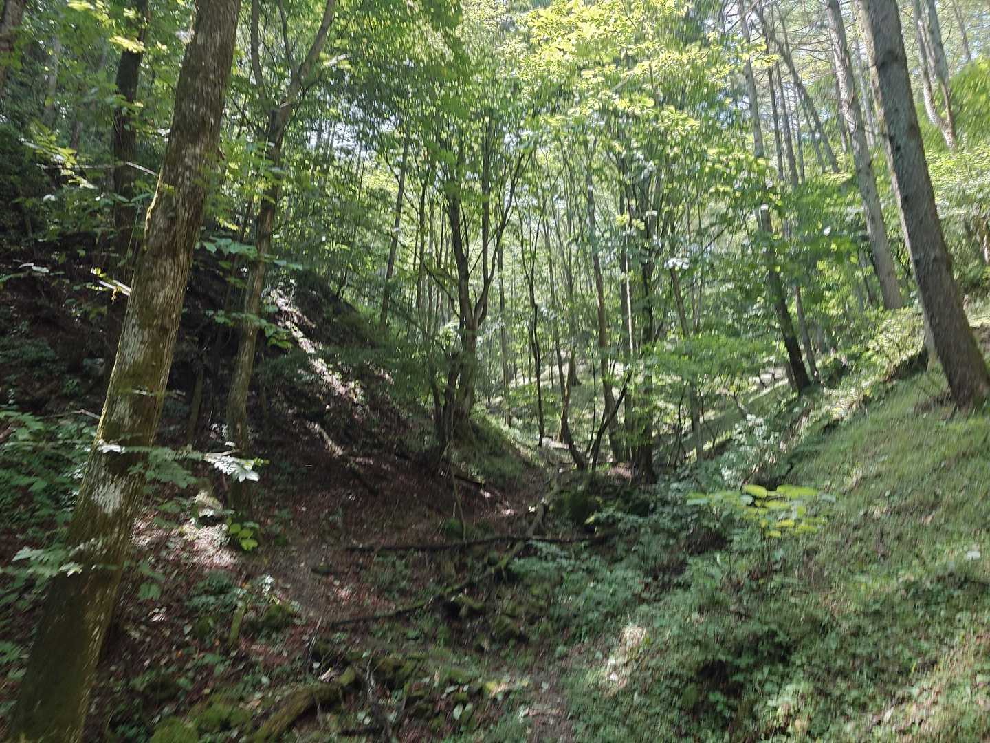 天狗岩登山口-天狗岩 往復コースの写真